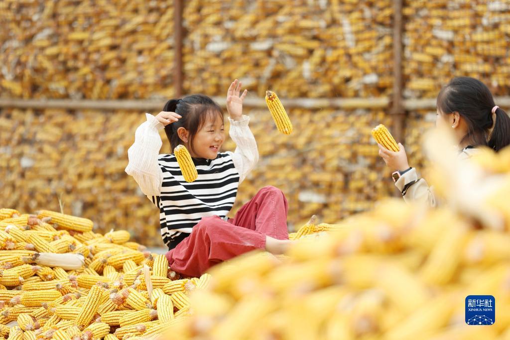 免费送彩金官方网站